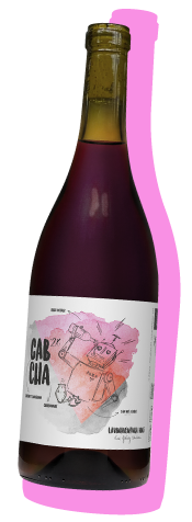 Lavinaventura Vins