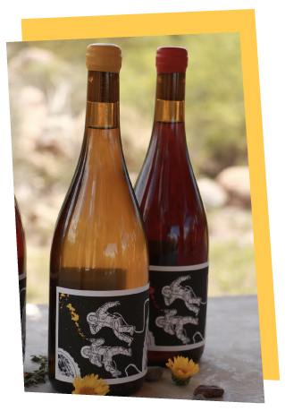 Les Astronautes Wines